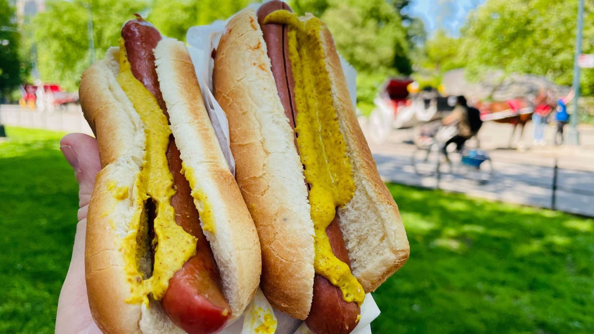 Two hot dogs Central Park