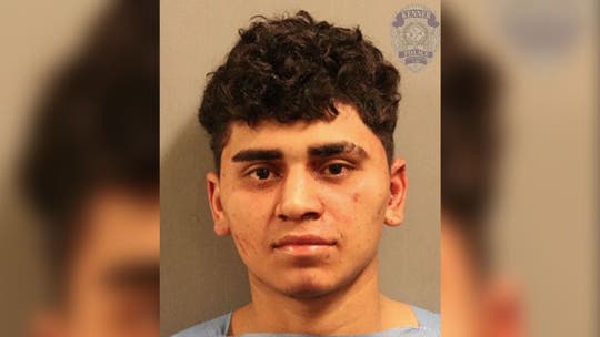 Honduran illegal migrant arrested for rape of girl, 14, stabbing man during knifepoint robbery